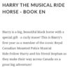 Harry the Muscial Ride Horse - Image 5
