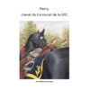 Harry the Muscial Ride Horse - Image 3