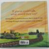 Book - If These Places Could Talk – Image 2