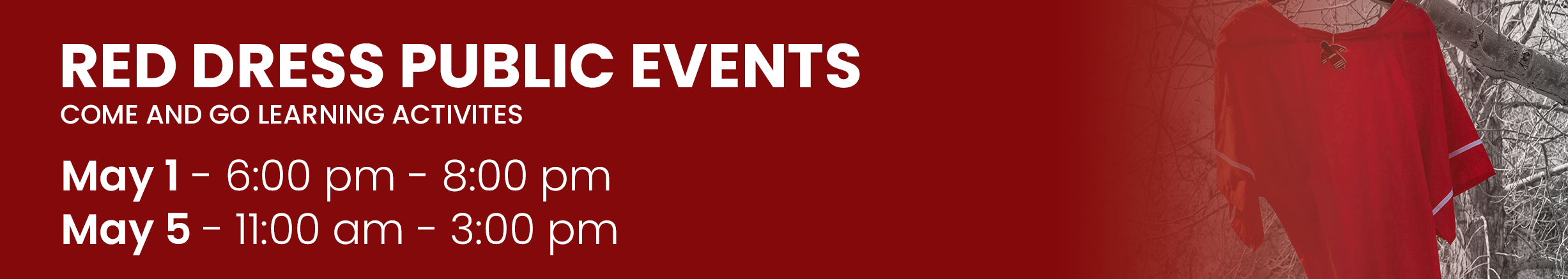 Red Dress Public Events