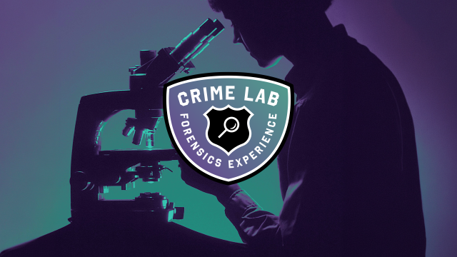 Crime Lab Forensics Experience